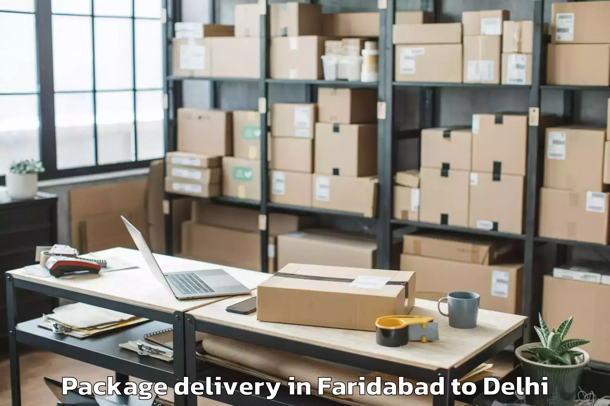 Affordable Faridabad to Alipur Package Delivery